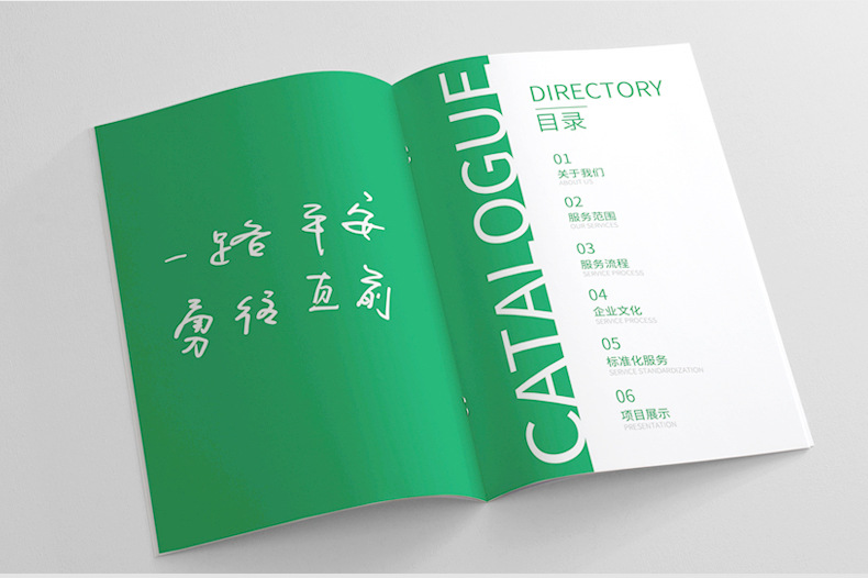 Flyers Posters Album Printing Album Printing Brochure Customization