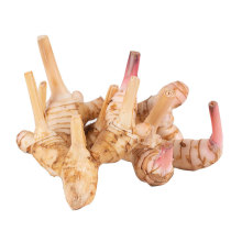 limpa tênis oxer ox sintético