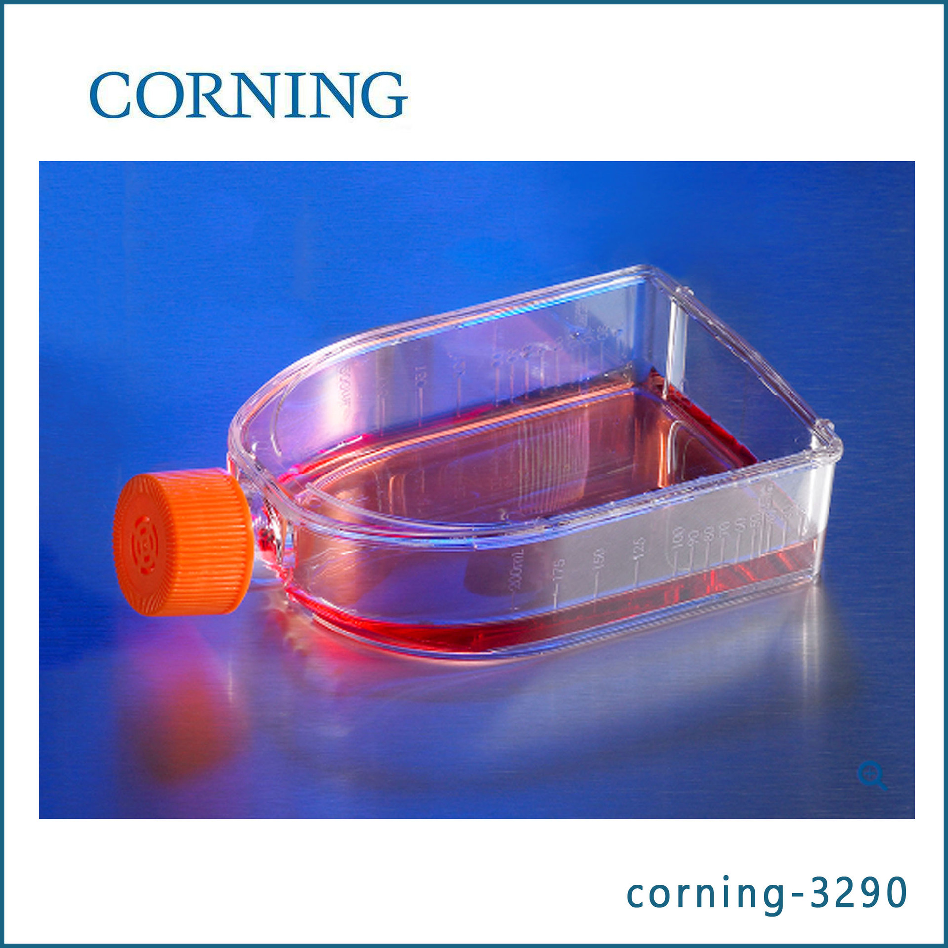 康宁corning3290 75cm培养瓶  无热原 无*包装 5个/包，20包/箱
