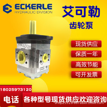 艾可勒ECKERLE EIPC3-040-RK23-1X 折板机 压铸机液压高压齿轮泵