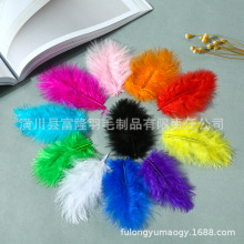 ��ɫ��ë��q�����������ë�����Ɍ����b�o���b�diy�ֹ�����