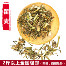 瞿麦 巨麦 翟麦 石竹/巨句麦 山瞿麦 竹节草500克 2斤包邮