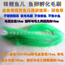 錦鯉繁殖 錦鯉繁殖批發 促銷價格 產地貨源 阿里巴巴