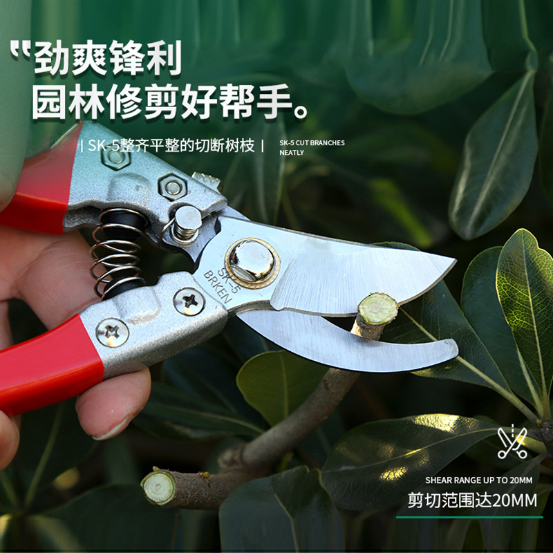 多功能树枝剪园林工具 园艺高枝剪合金省力手动修枝剪果枝剪批发-阿里巴巴