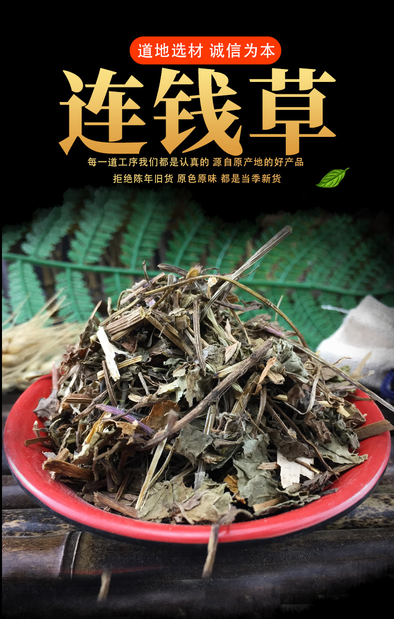 Lian Qian Cao Powder Glechoma Herb 500g Ground Botanical Raw Material for Tea and Decoction Use key features