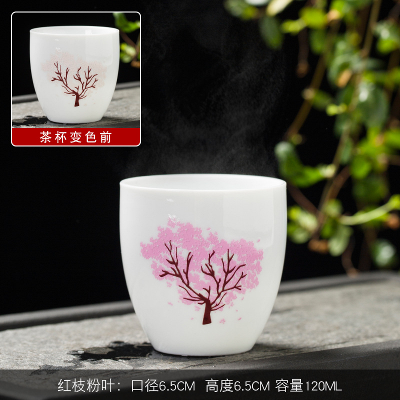 붉은 가지와 핑크 잎