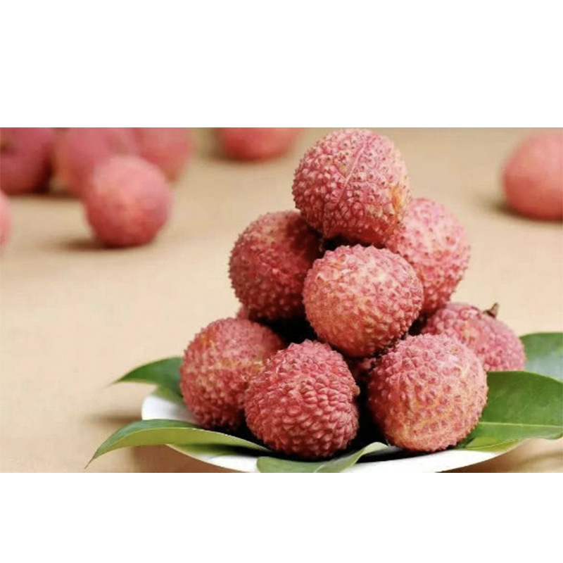 5.20發貨廣東茂名高州新鮮應季水果荔枝白蠟招代理壹件代發