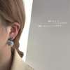 Brand silver needle, earrings, Korean style, silver 925 sample, plush