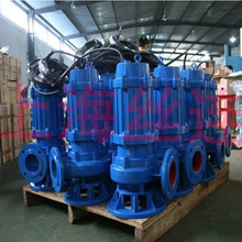 厂家直销上海丝连牌350QW1000-36-160高效无堵塞排污泵