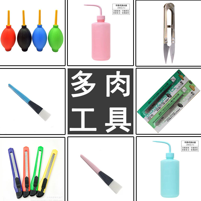 多肉植物种植工具组合套装养花迷你园艺用品肉肉盆栽多肉工具包邮|ms