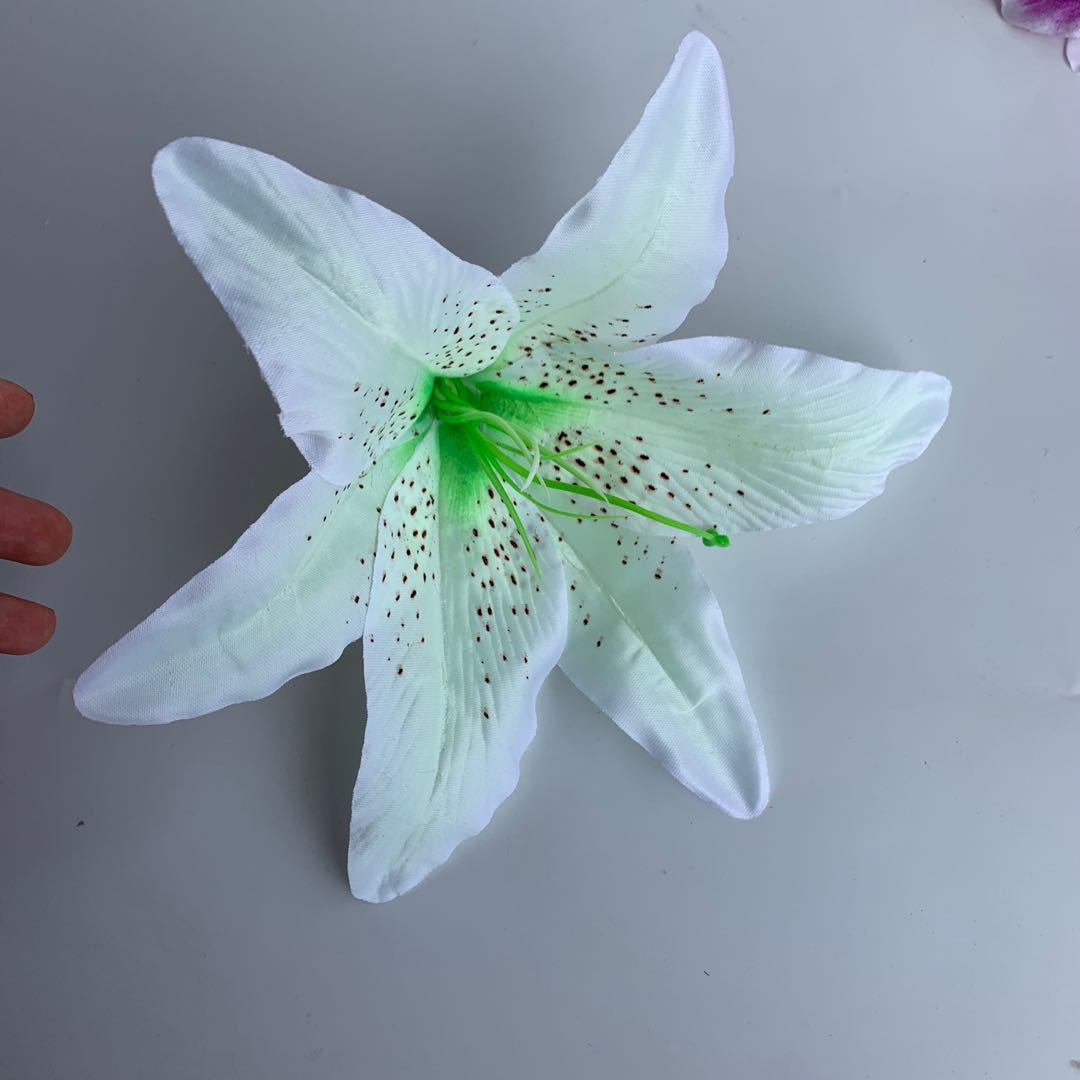 微信图片_2020050810460516