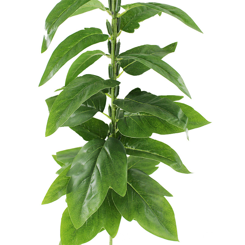 XRB-203春色1米芝麻 (1).jpg