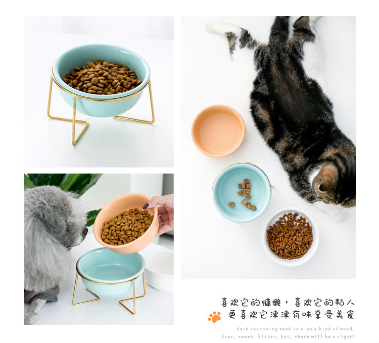 金架圆边猫碗_13.jpg