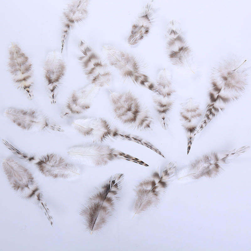 90edb945325aecb2ca743d36fd41a5