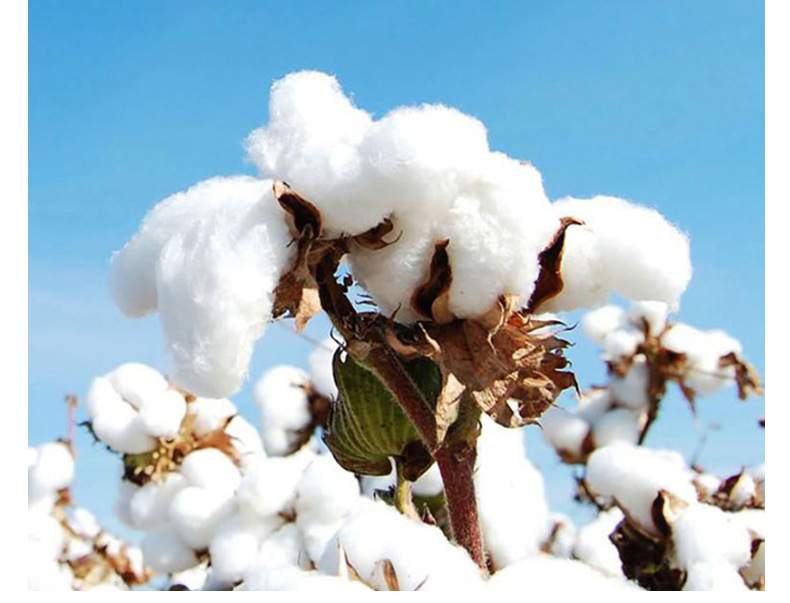 第一款套版详情_06