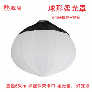 �J�� �W���������� ���\�� ������ ���������