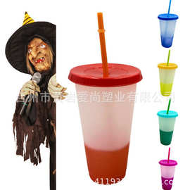 【美国热销】专业生产食品级精美pp变色杯