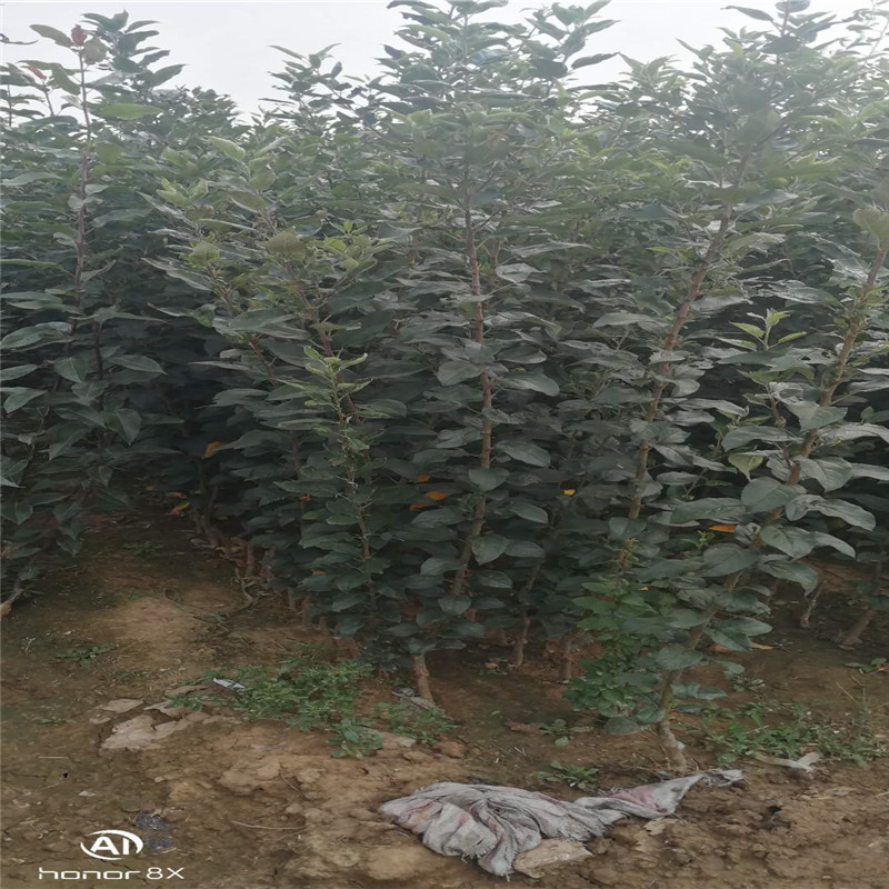 微信图片_202010061157368