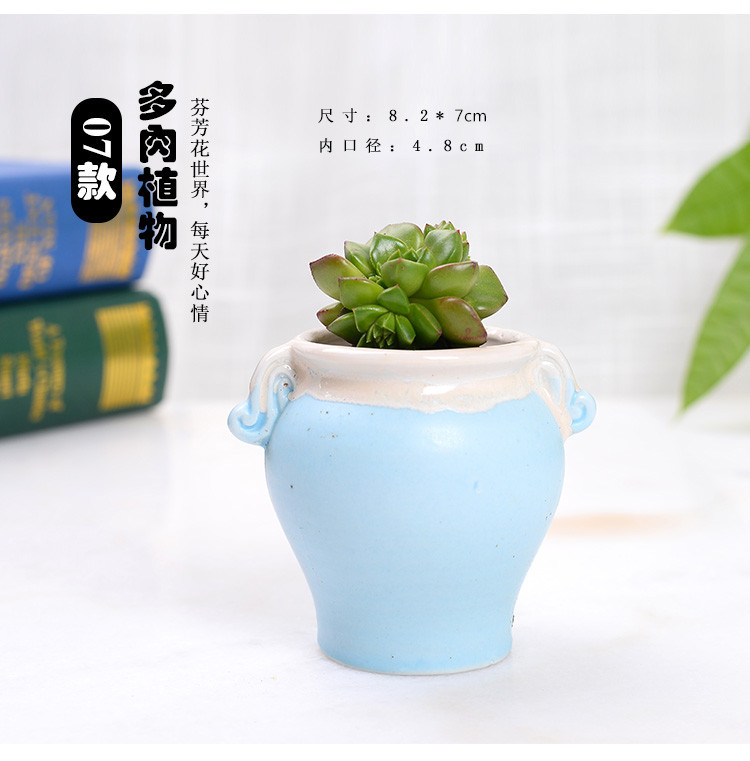 多肉花盆_11