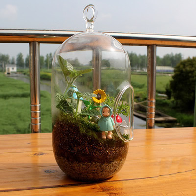 Creative hanging moss micro landscape glass vase succulent glass vase hanging bottle DIY potted plant desk decoration
