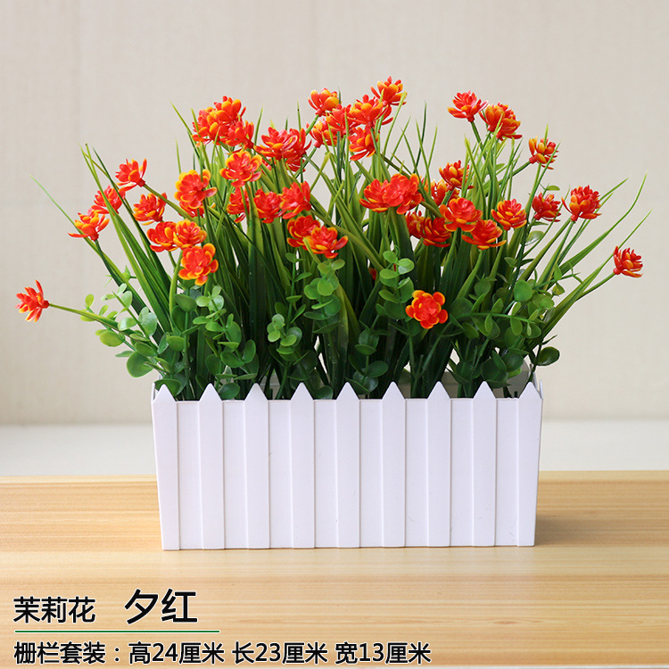 울타리 재스민 꽃 이브닝 레드]
