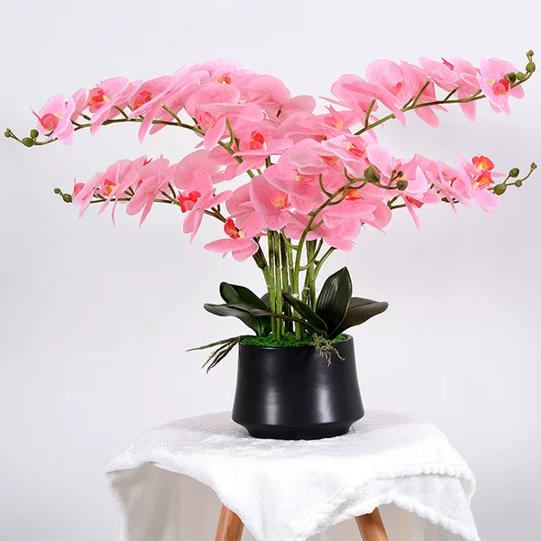 New high-end butterfly orchid artificial flower suit artificial flower bonsai living room indoor home decoration decorative Floriculture