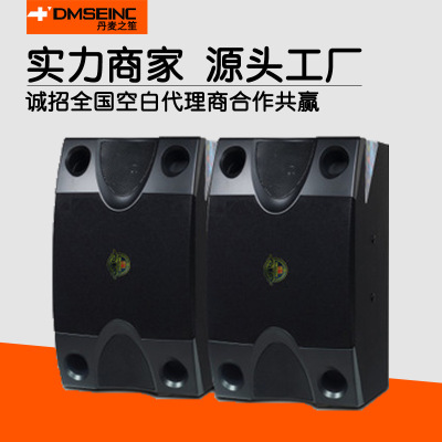 DMSEINC Custom wholesale DM-252 Family K song a living room Card package Cara OK Sound System Bookshelf speakers