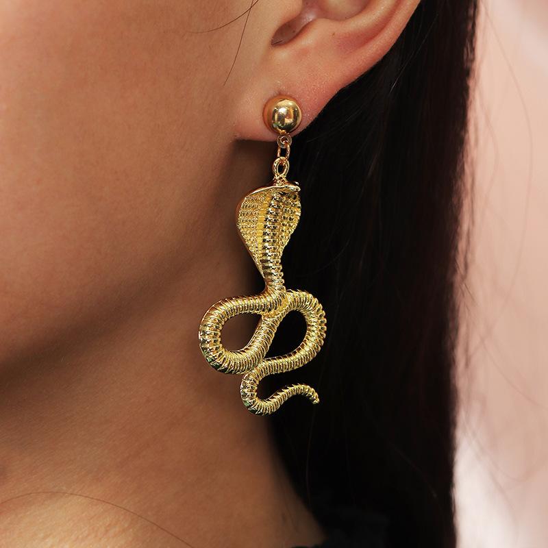 Retro Metal Snake-shaped Animal Earrings display picture 1