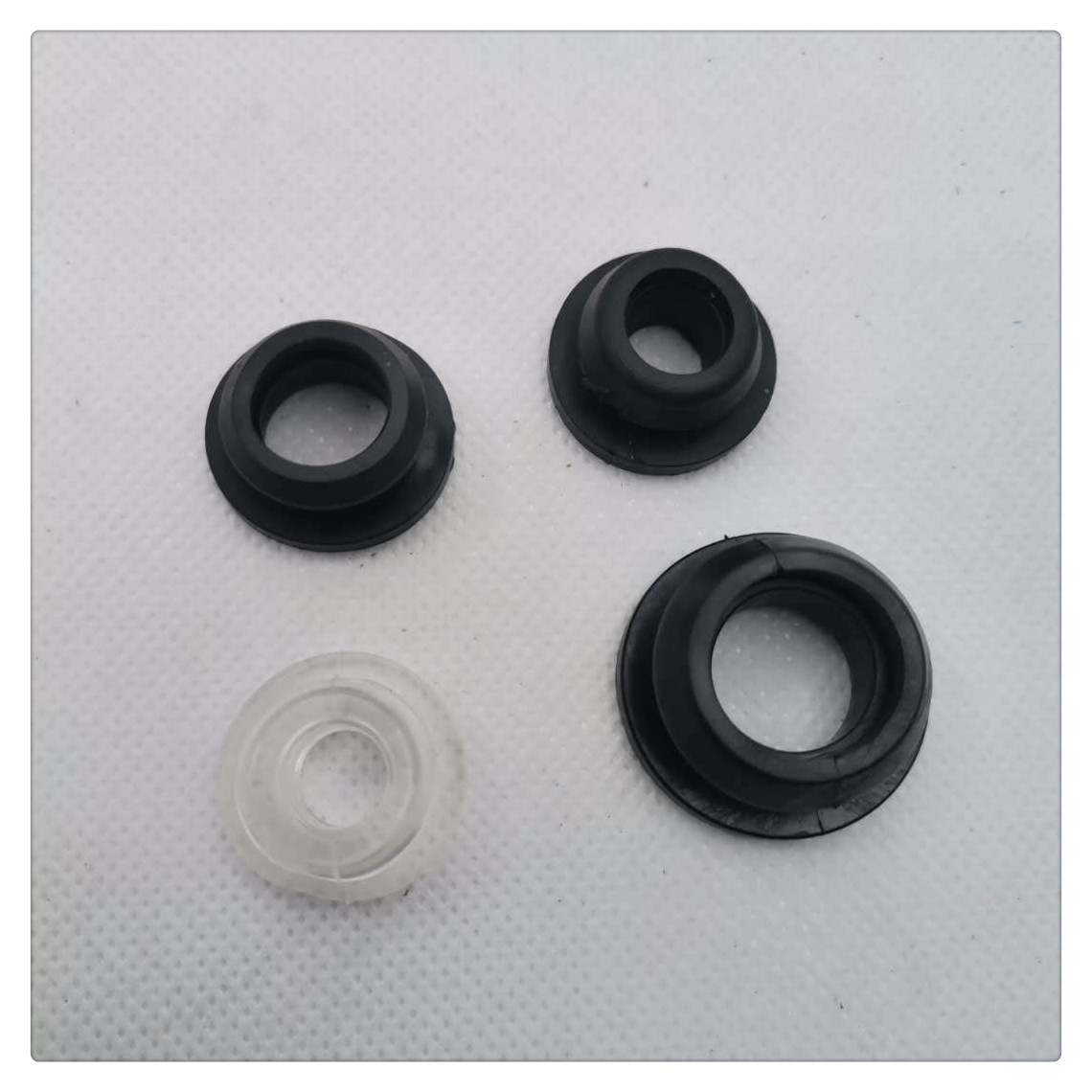 21659219744_1345468510