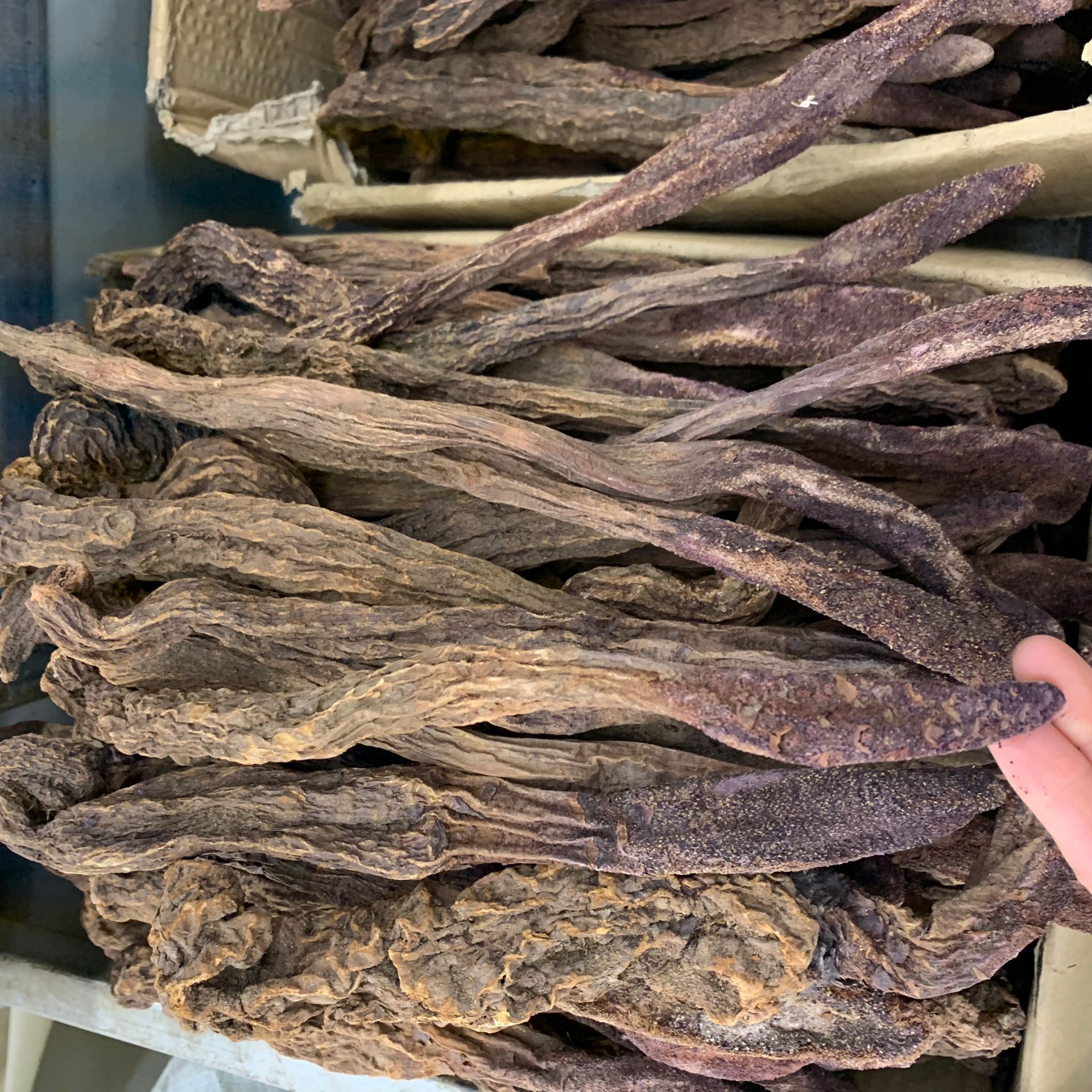 Cynomorium Songaricum Sliced Suo Yang Dried Herb for Herbal Wine and Decoctions 500g quality and texture