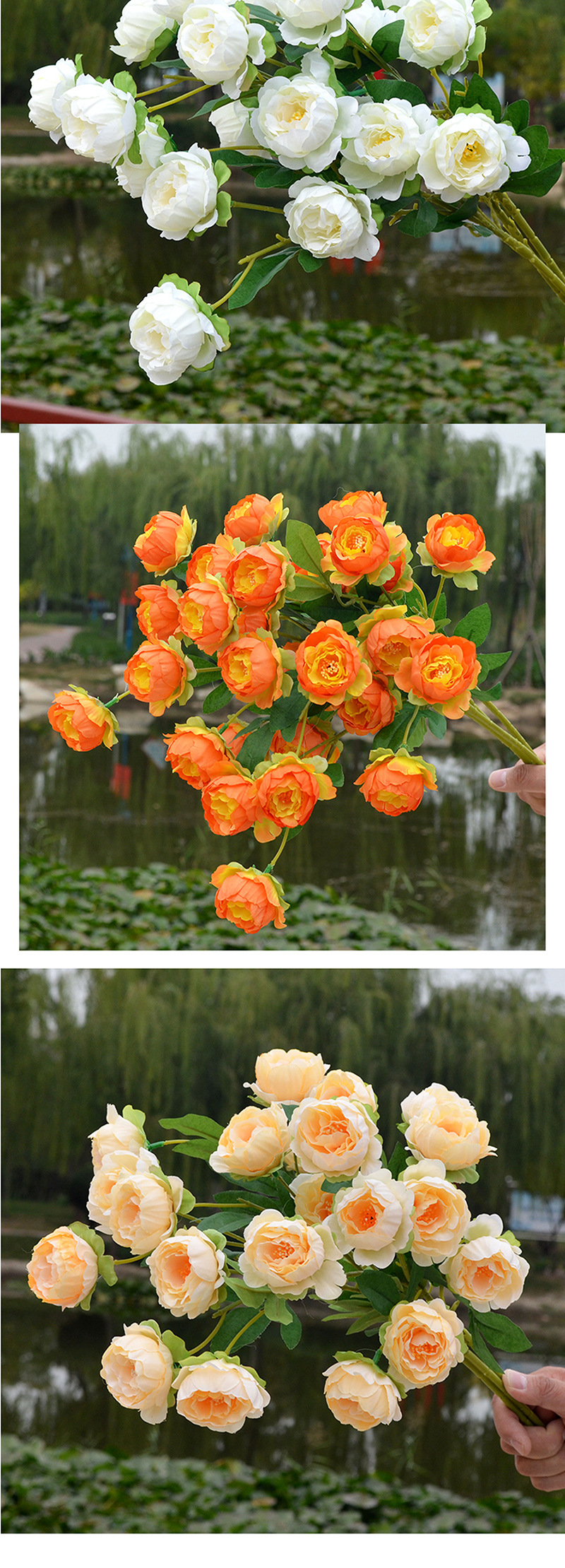 七头玲珑牡丹_05 拷贝.jpg