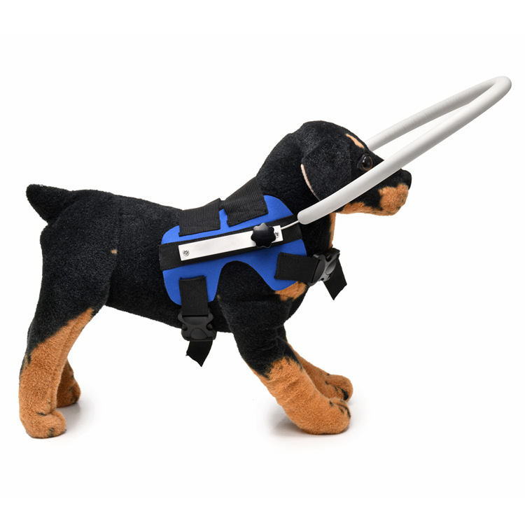 无题目录 09624.JPG