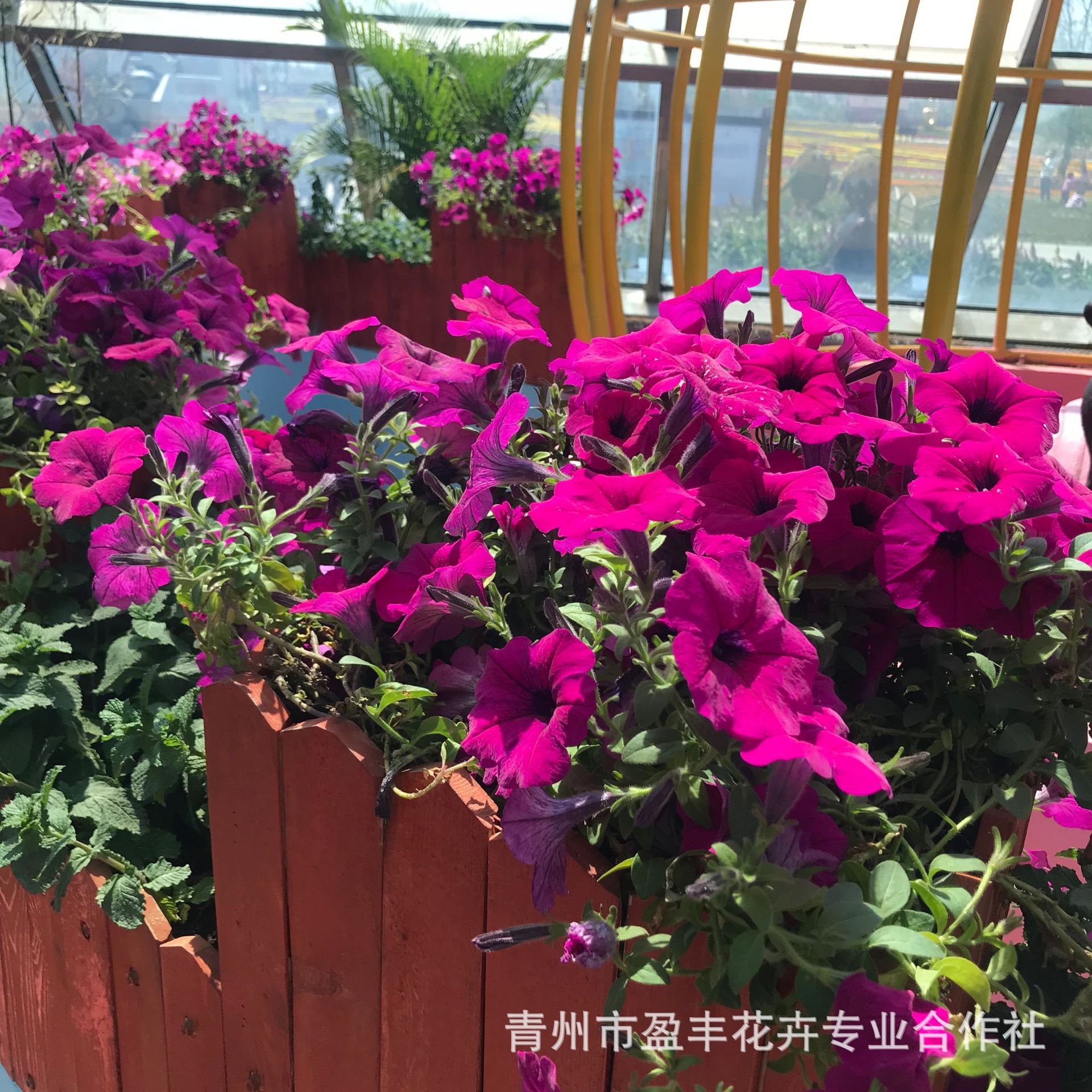 微信图片_202004251304241