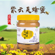 航天所新紫雲英蜂蜜 蜂蜜500g源頭廠家OEM直供花蜜蜂蜜 批發蜂蜜