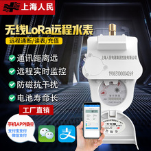 上海人民无线远程物联网手机控制缴费远传智能抄表预付费LoRa水表