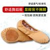 New style -free dance shoes, soft soles, practice ballet dance belly dance cat paw shape test dance shoes