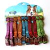 Pets Supplies wholesale Manufactor Direct selling Dogs A collar for a horse Collar nylon A collar for a horse card packing Pet Shop Preferred
