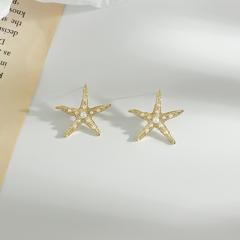 韩国东大门代购同款耳环女时尚高级感女神海星耳钉时尚百搭潮耳饰