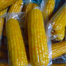 rװaO  r׶ƯCsȫO乩