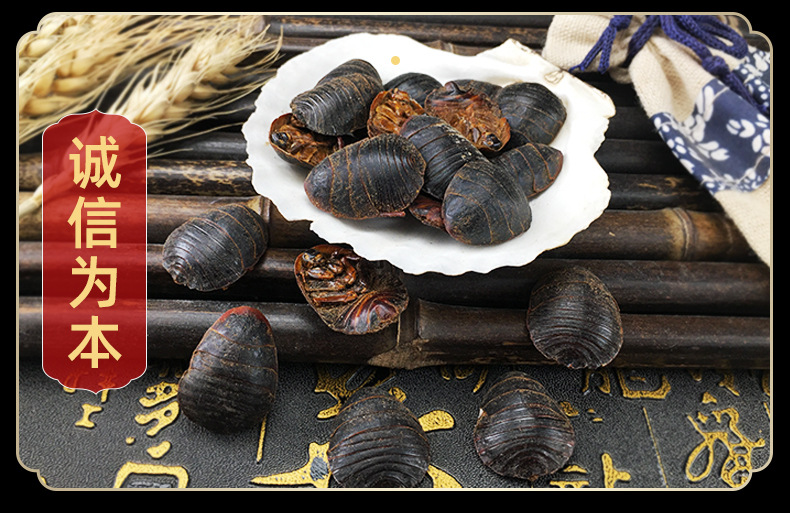 Dried Ground Beetle Tu Bie Chong Whole Insect Traditional Chinese Herb Bulk Dried Decoction Ingredient in use