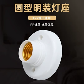 灯头、灯座;接线插座;电源插头