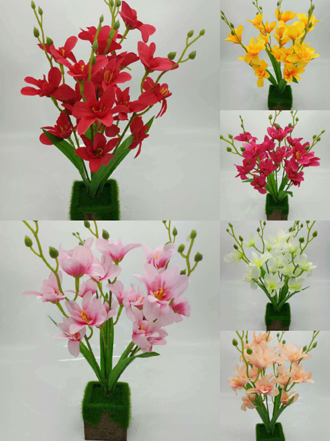 WeChat 圖片_20200704113705