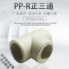 ppr等径三通 ppr正三通20 25 32 ppr接头 4分6分水管配件管件