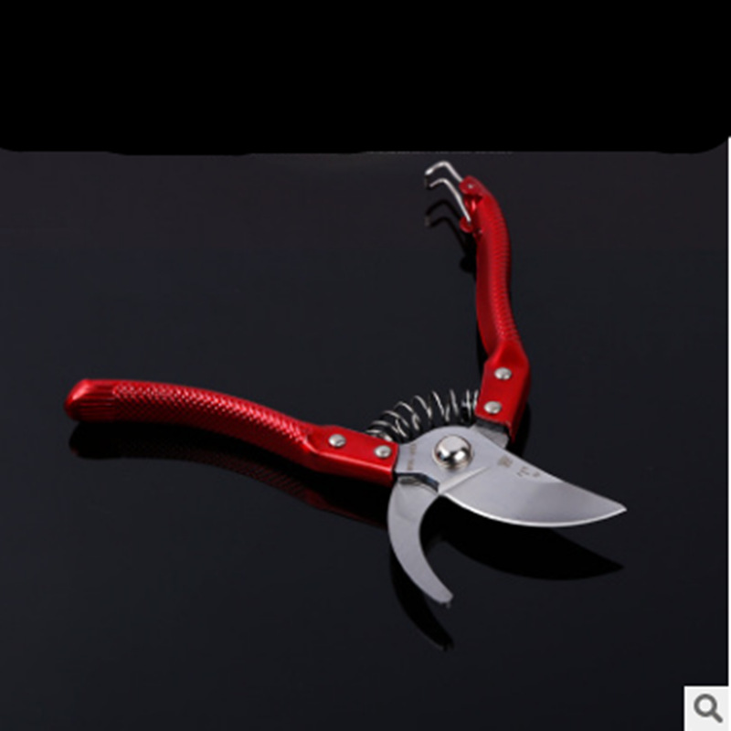 山藤树枝剪园林剪园艺剪 修枝剪果树剪刀花剪刀剪树枝剪刀 果枝剪