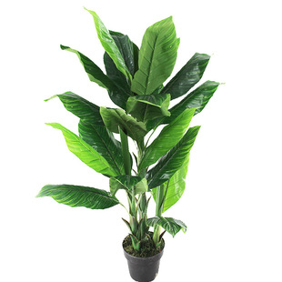 ����ֲ���������˽��~�Ꭷ�Ž�ֲ����~�҃����˽��~���~�b����l