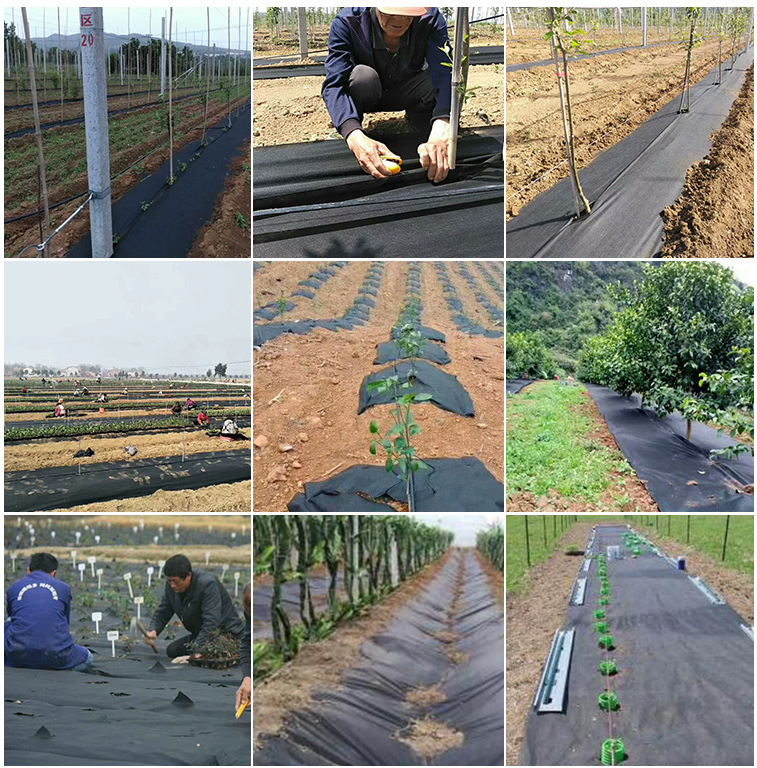 Manufactor Direct selling black ecology pp Weed Non-woven fabric Agriculture Orchard ventilation Infiltration amount Discount