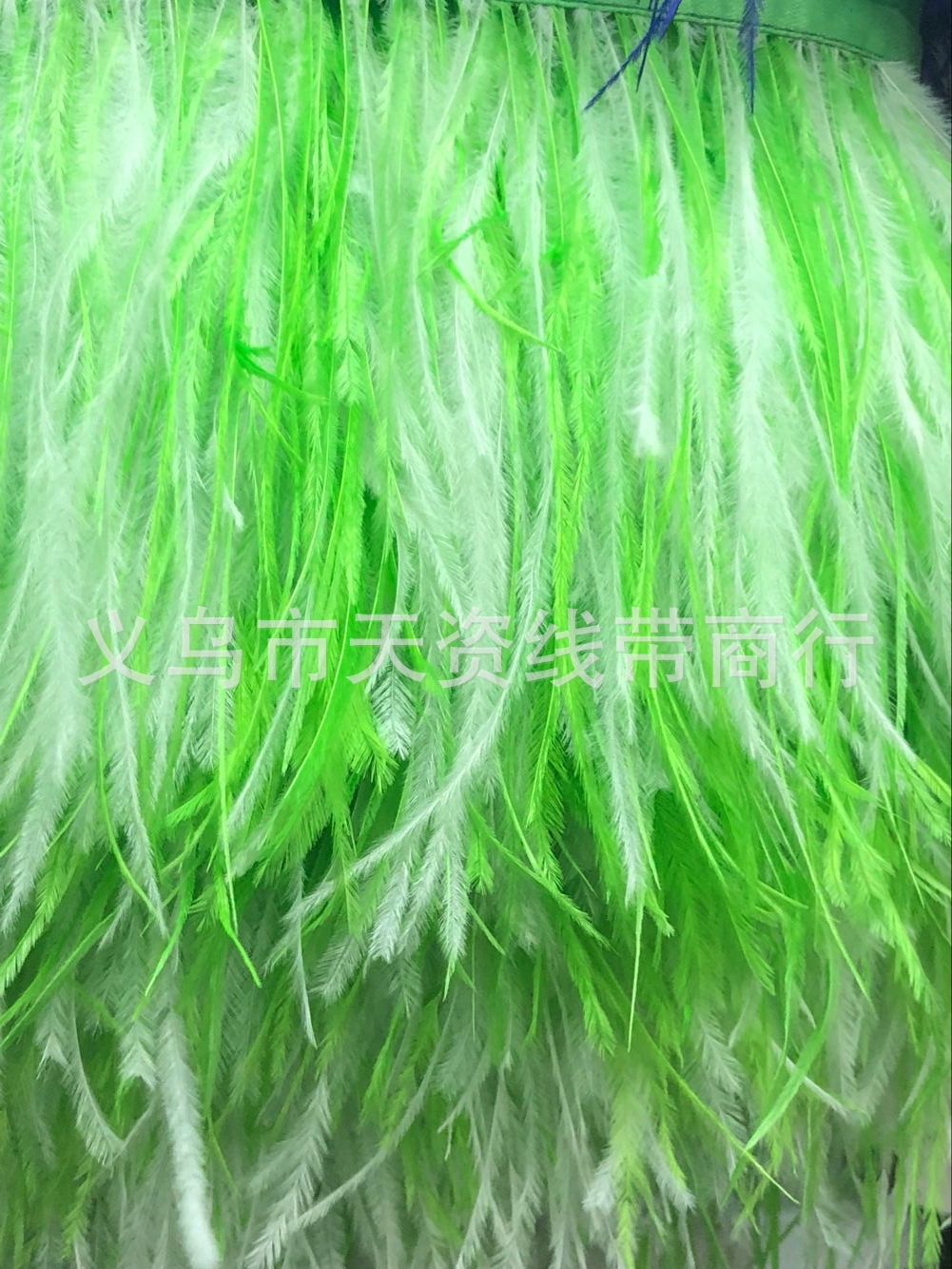 AB684FBFC8204EE30ED813D94E5B7B