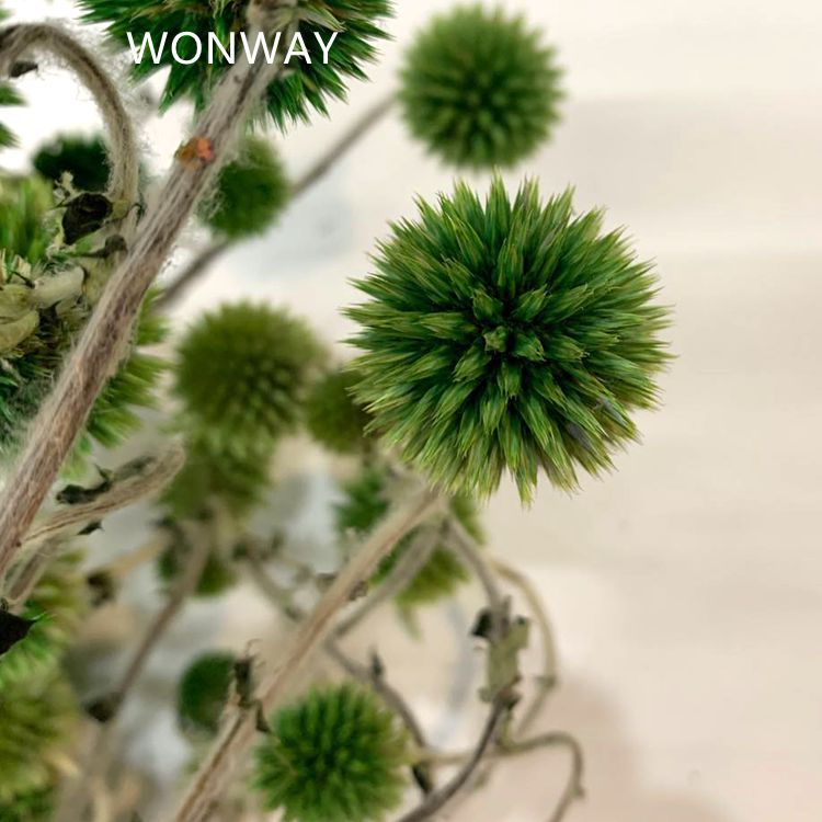 微信图片_20200226144232_副本