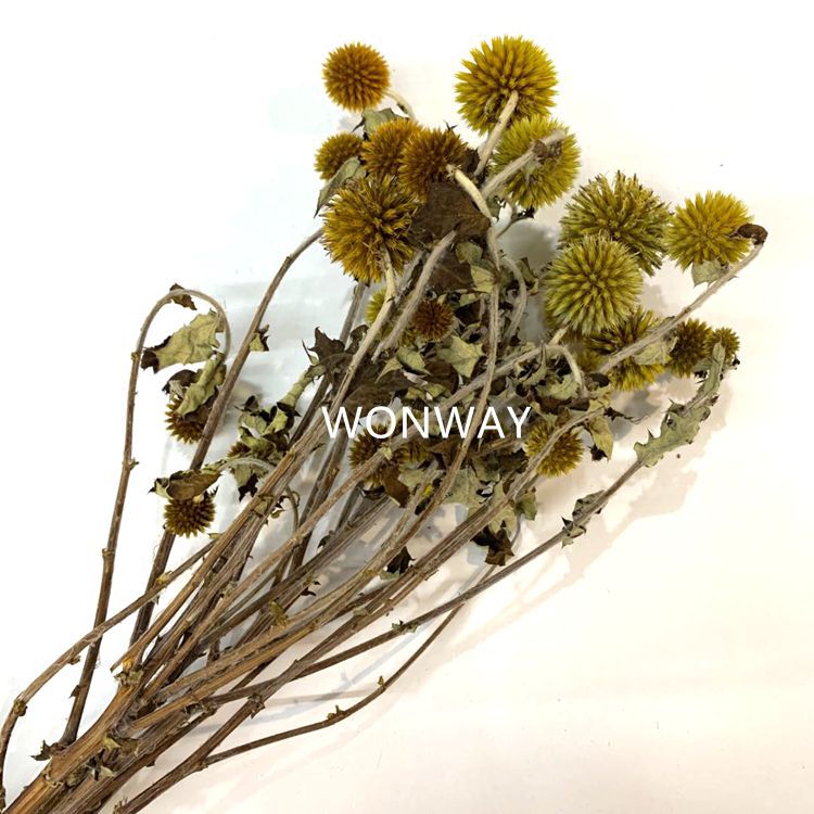 微信图片_20200226144131_副本