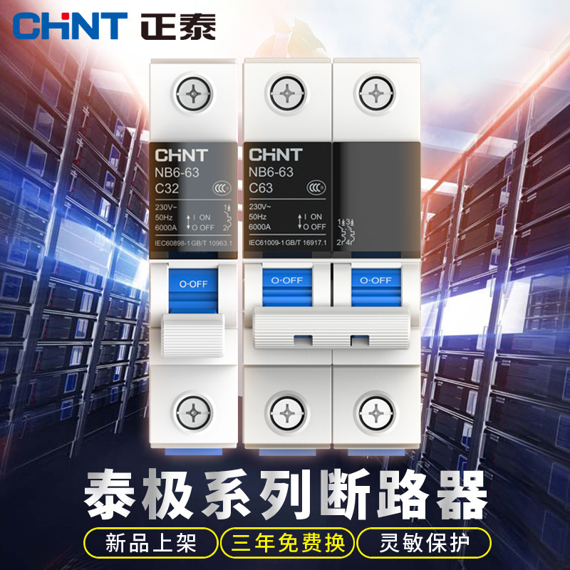 空气开关家用空开断路器2P总电闸开关断电保护器NB6泰极系列